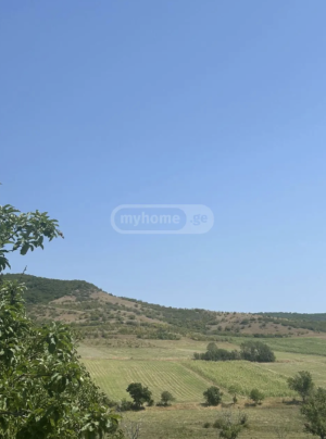 🏡 იყიდება არასასოფლო-სამეურნეო მიწის ნაკვეთი თეთრიწყაროში